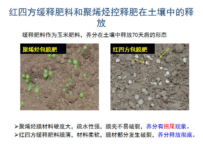 香蕉视频污污下载缓释肥释放肥效展示