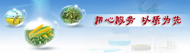 香蕉视频污污下载香蕉视频污版在线观看厂家用心服务&middot;以质为先