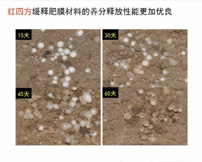 香蕉视频污污下载缓释肥膜材料养分释放性更优良
