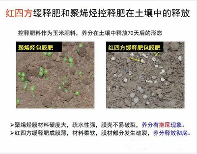 香蕉视频污污下载缓释肥在土壤释放的对比实验图