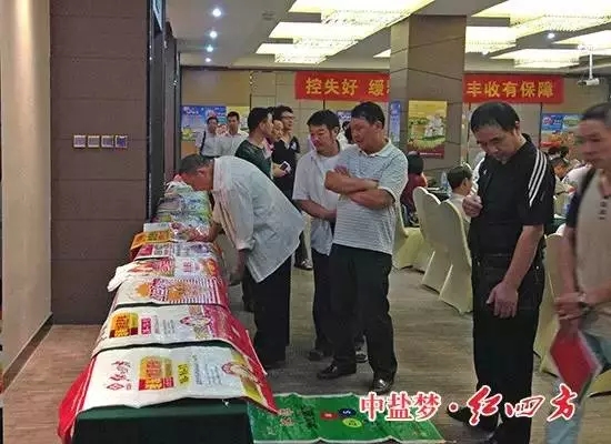 躬耕盛夏，蓄力金秋！