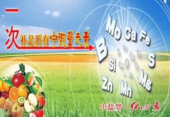 补充营养，微量元素少不了！
