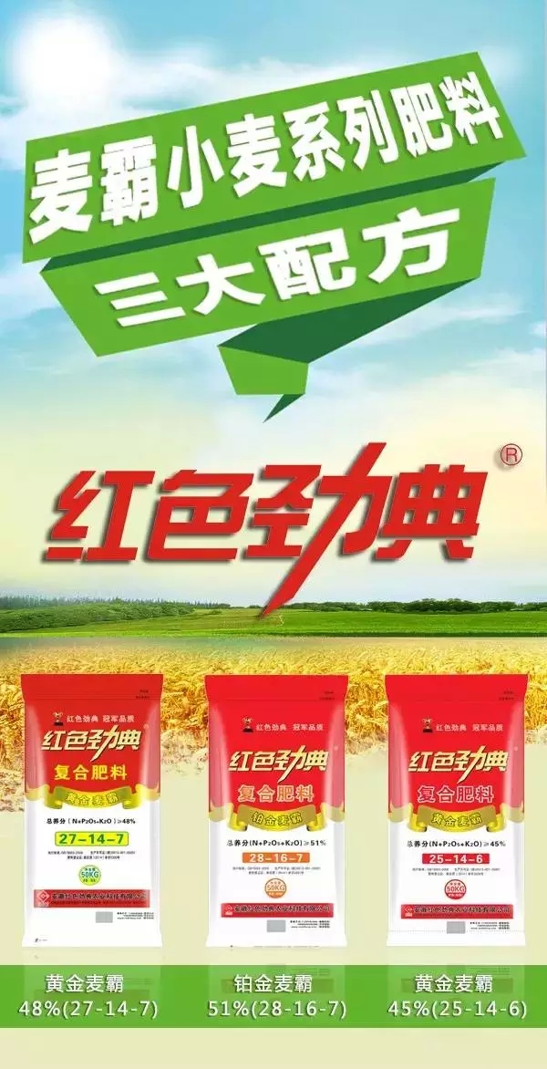香蕉视频污污下载重磅推出麦霸&ldquo;三剑客&rdquo;.
