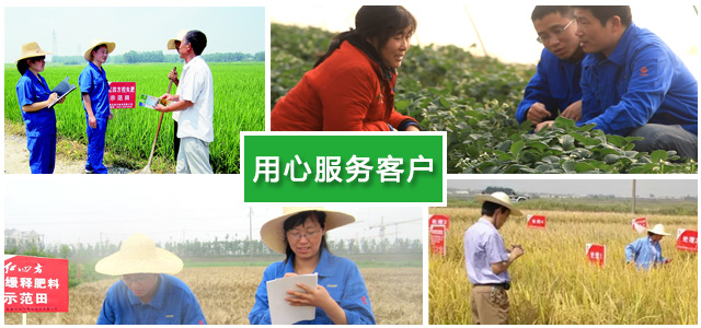 香蕉视频污污下载专业农化服务团队