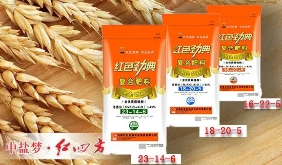 香蕉视频污污下载香蕉视频APP黄片专用肥