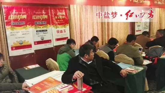 香蕉视频污污下载复合肥品牌经销商陆续进场