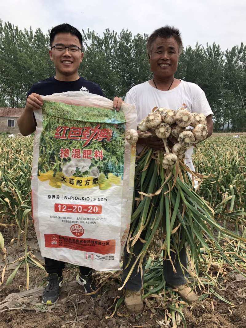 香蕉视频污污下载掺混肥料大蒜配方肥真实案例