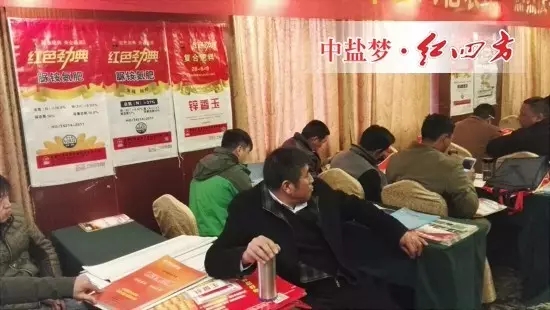 今年年初我已和代理商李经理制定计划，全年销售目标1000吨，各项工作必须有条不紊的进行，做到有计划、有目标的落实，才能走得更好更远！