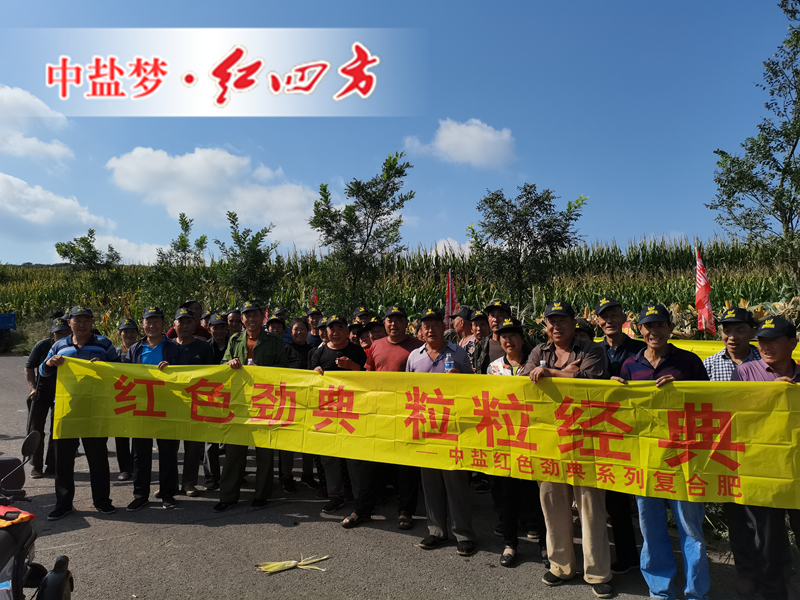 香蕉视频污污下载玉米肥观摩会