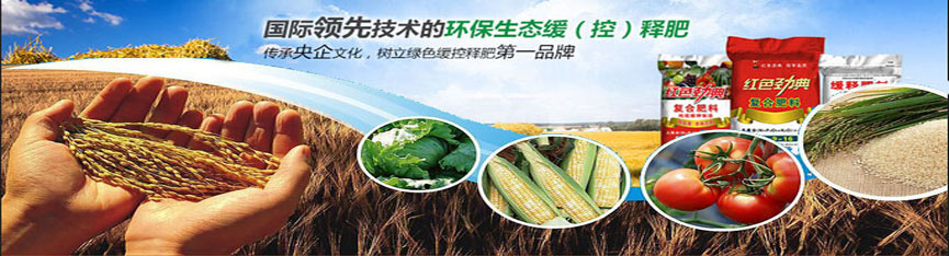 香蕉视频污污下载专用肥