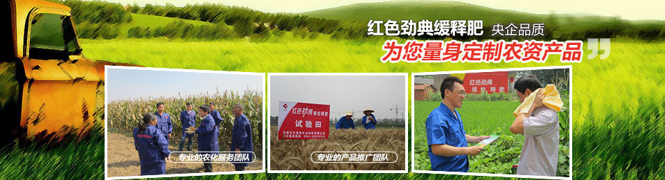 香蕉视频污污下载，冠军品质，五星服务
